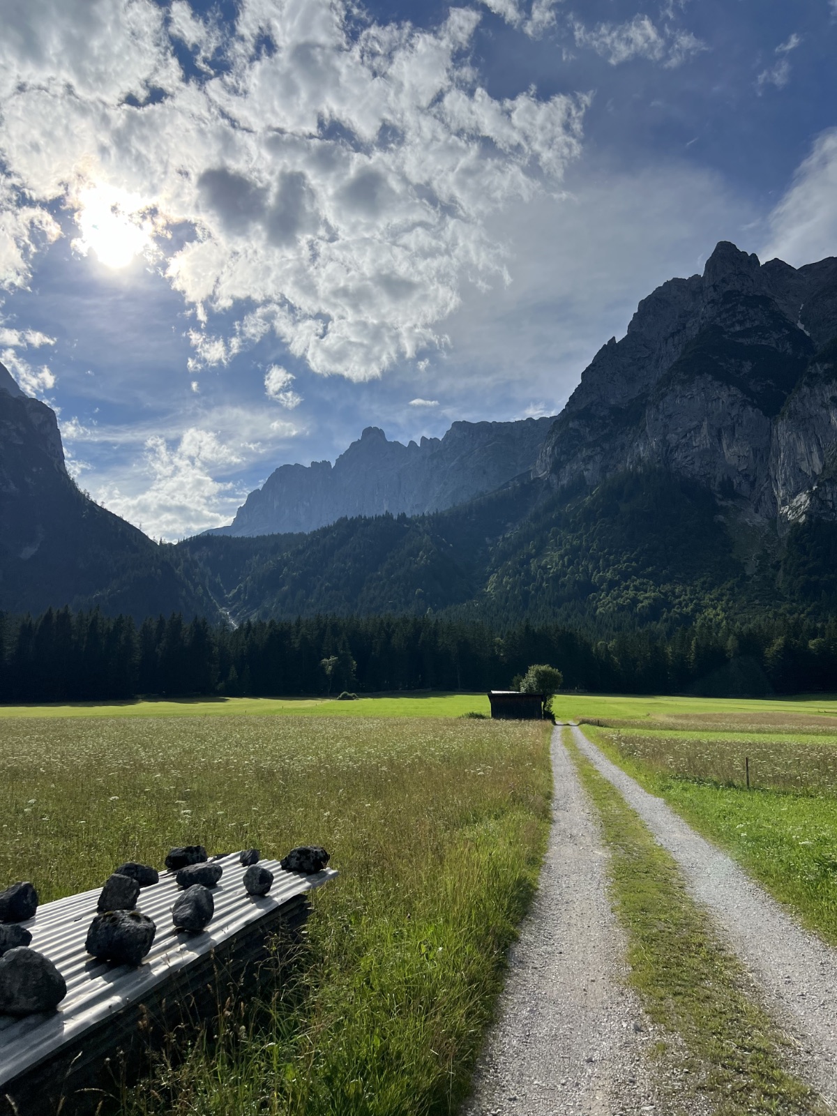 placeholder image-sq